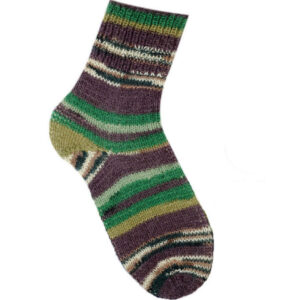 4x100gr Smart Sock Smoke Brown, Cream, Green Shades, Blue