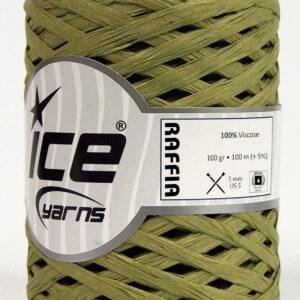 2x100gr Raffia Water Green